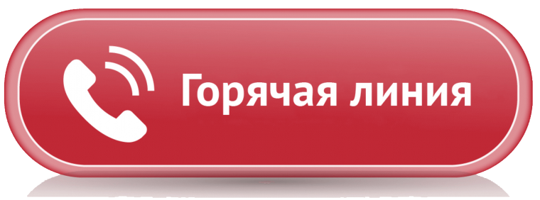 ИНФОРМАЦИЯ об организации горячей линии.